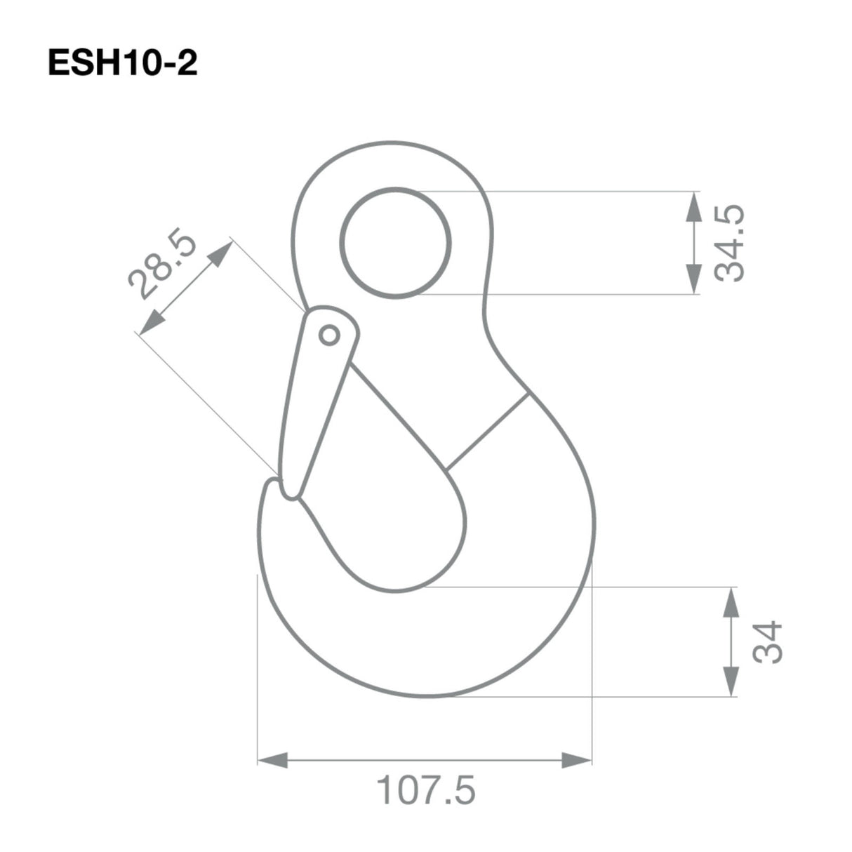 TAG - Eye Sling Hook G80 10mm 3.15T (Pair)