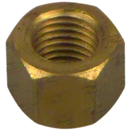 Exhaust Nut (Brass) - TOYOTA, M10 X 1.25, Hex 14.3mm, L 10.5mm